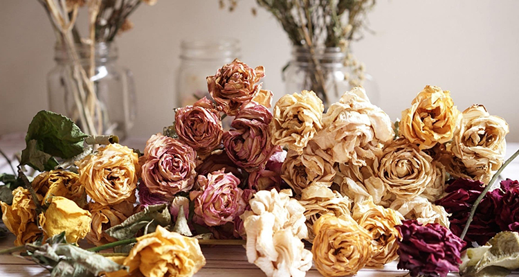 Blommor