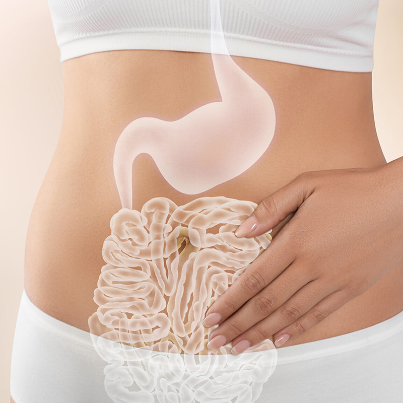 Mikroinkapslingsmaskin för gastrointestinala hälsa frystorkade produkter